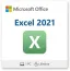 Microsoft Excel 2021 (Windows)